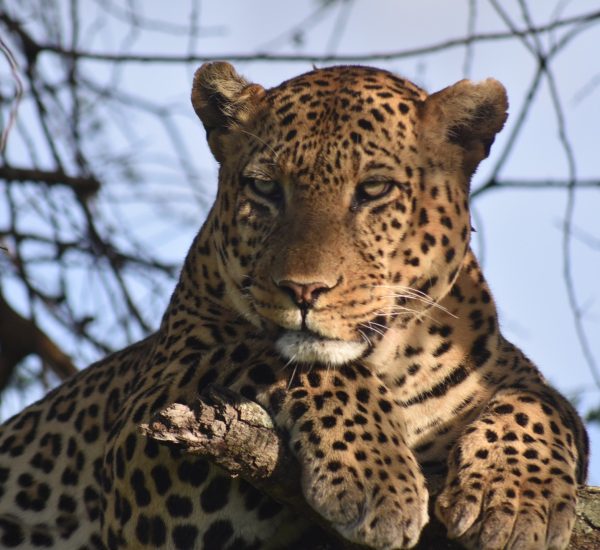 473790340_635527272158357_850716725448901347_n