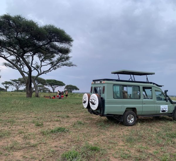 480773182_661294866248264_1076522201353580342_n