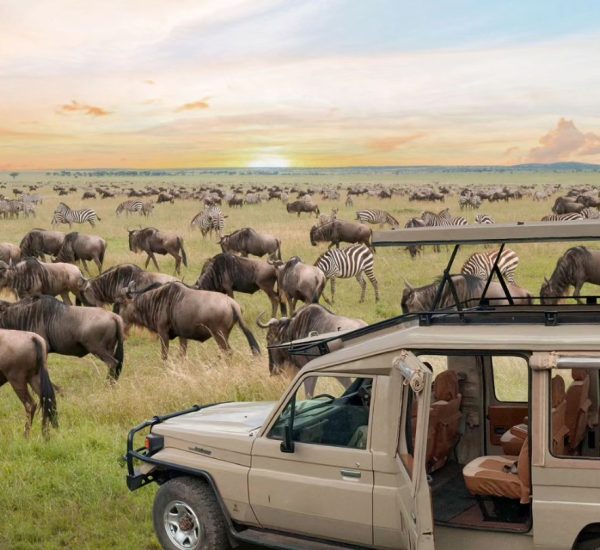 5 Day Northern Circuit Highlights itinerary